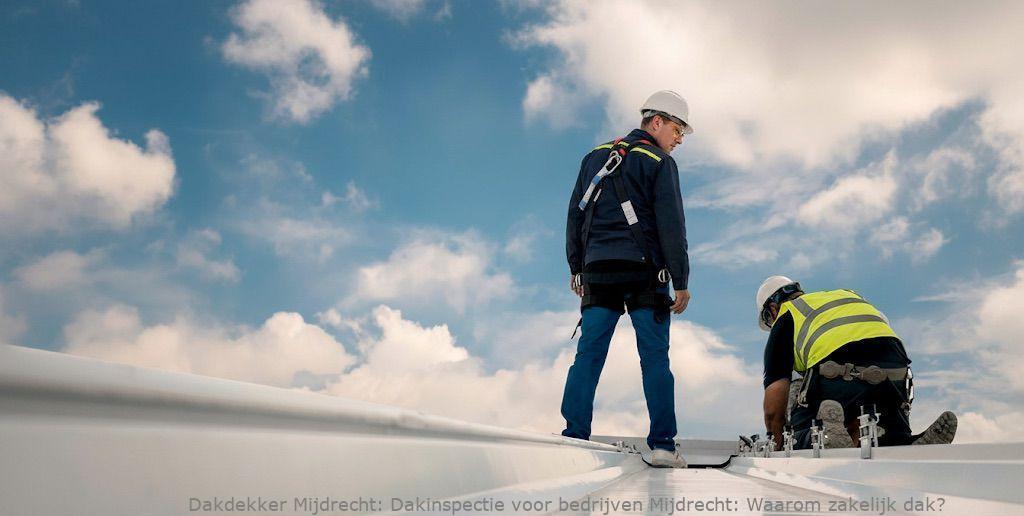 Dakinspectie Voor Bedrijven Mijdrecht