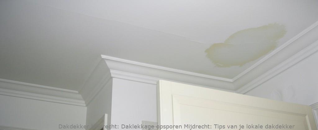 Daklekkage Opsporen Mijdrecht 1
