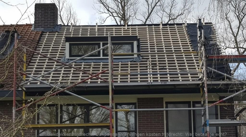 Dakpannen Vervangen Kosten Mijdrecht