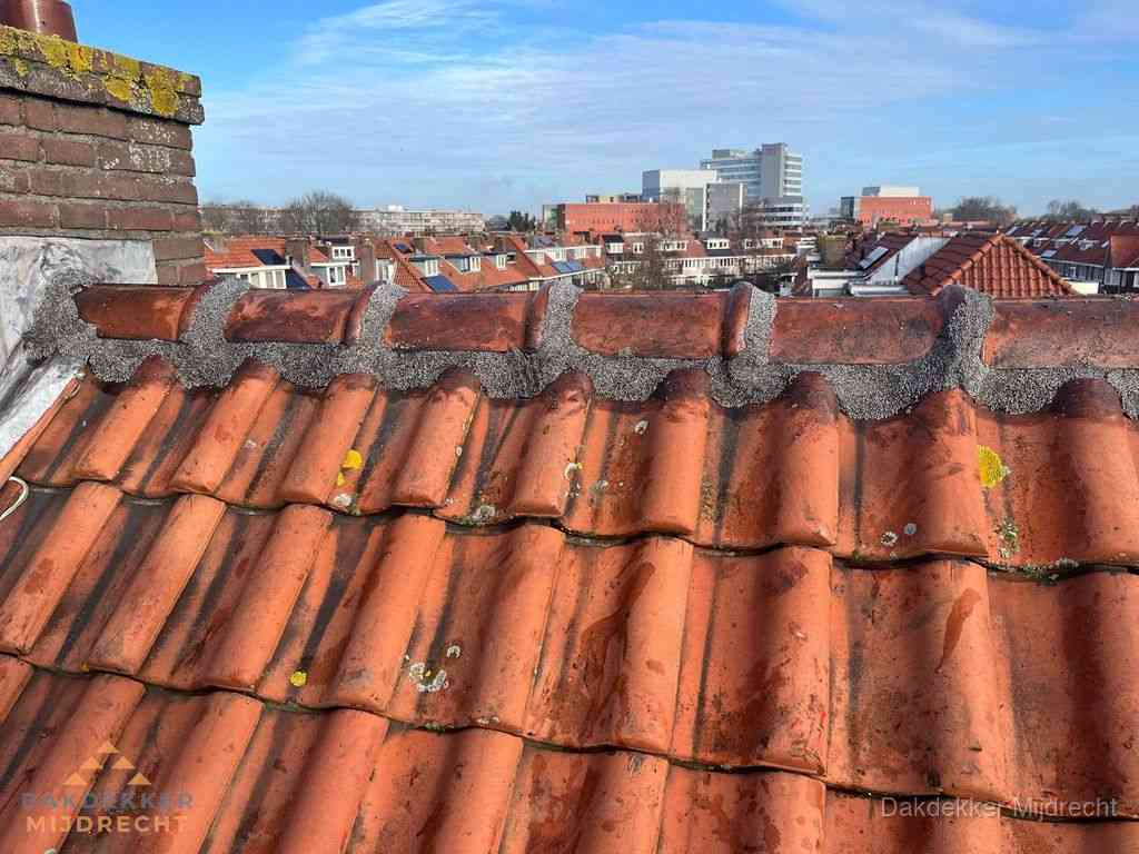 Mijdrecht Daken Renoveren