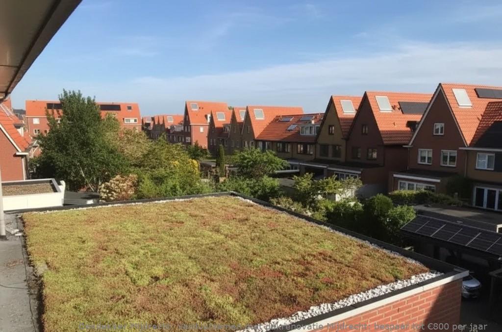 Verduurzamen Met Dakrenovatie Mijdrecht